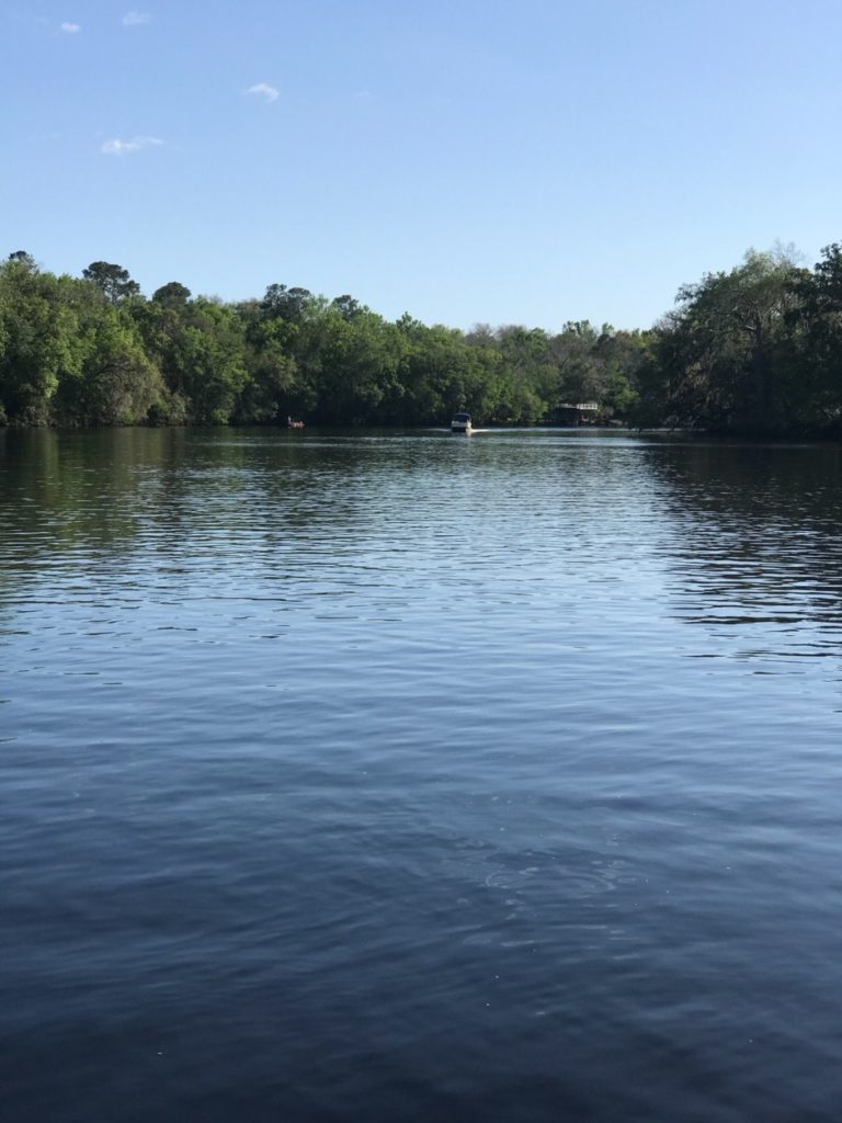 Come Experience "River Life" at Suwannee River Bend RV Park - Your Gateway to the Historic Suwannee River